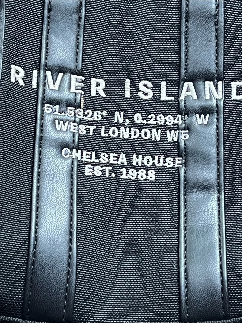 River Island Chelsea House Crossbody Mini Canvas Tote Bag